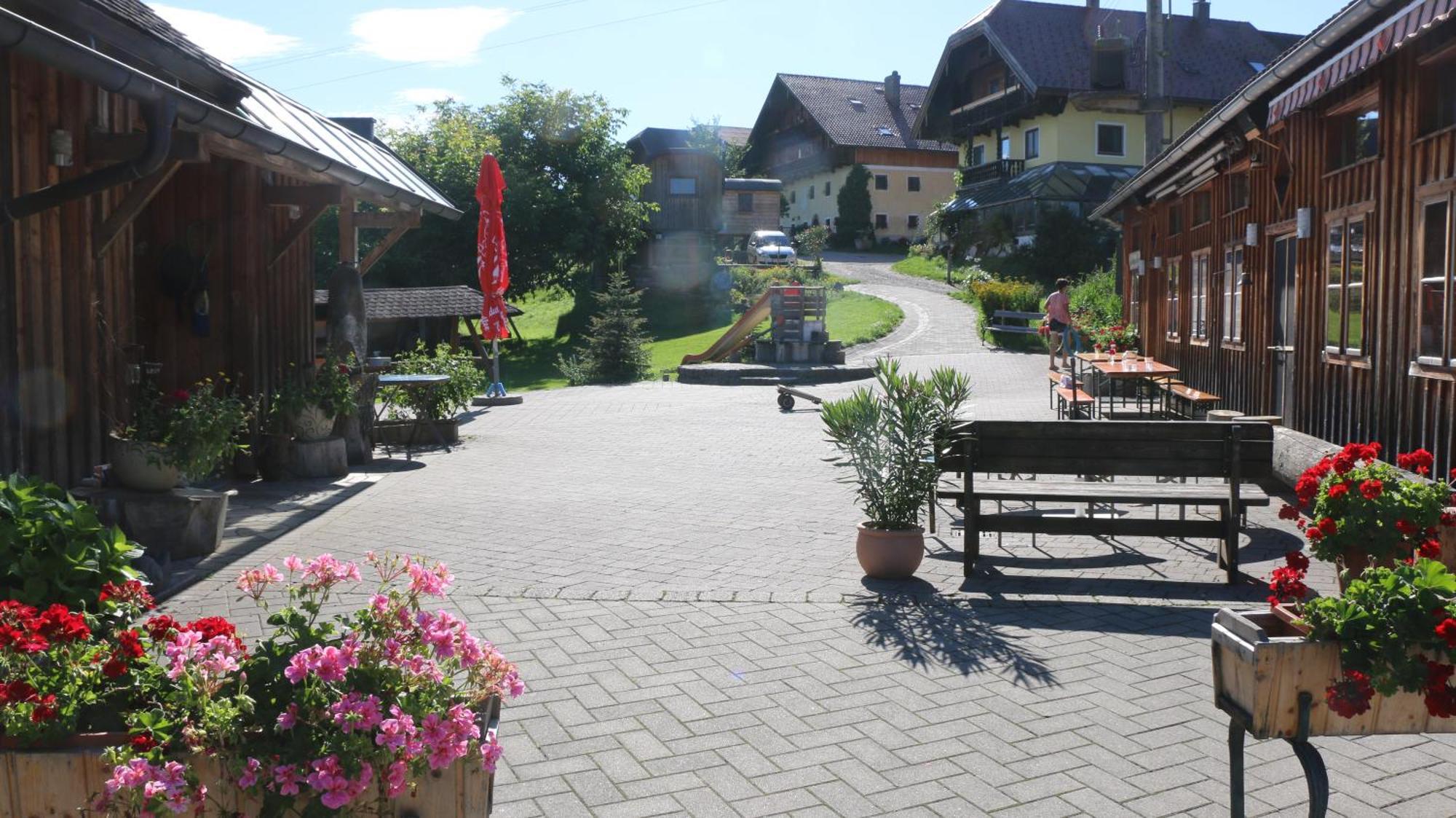 Bio Archehof Zachhiesen Seekirchen am Wallersee Exterior foto