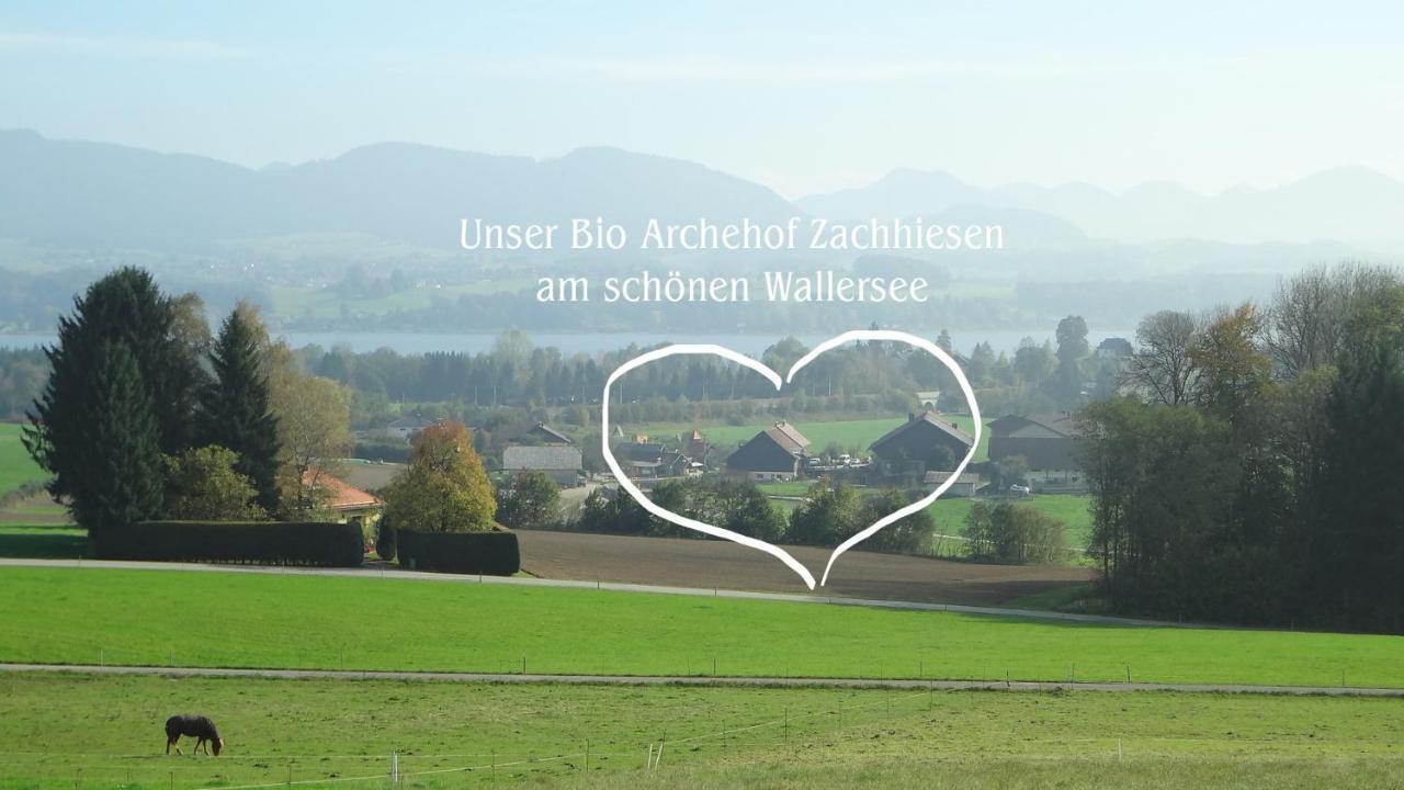 Bio Archehof Zachhiesen Seekirchen am Wallersee Exterior foto
