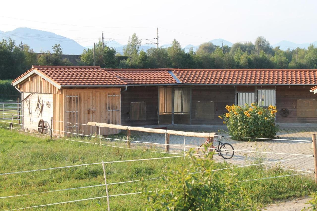 Bio Archehof Zachhiesen Seekirchen am Wallersee Exterior foto